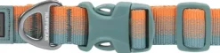 Ruffwear Front Range Collar kaulapanta, Spring Fade