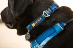 Ruffwear Front Range Collar kaulapanta, punainen