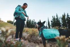 Ruffwear Front Range Day Pack koiran reppu, harmaa