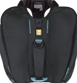 Ruffwear Front Range Day Pack koiran reppu, harmaa