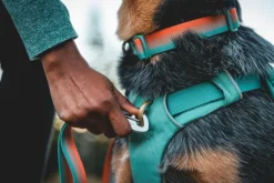 Ruffwear Front Range Day Pack koiran reppu, harmaa