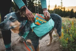 Ruffwear Front Range Day Pack koiran reppu, harmaa