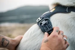 Ruffwear Front Range Harness valjaat, sininen