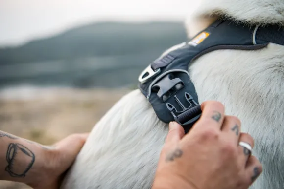 Ruffwear Front Range Harness valjaat, sininen