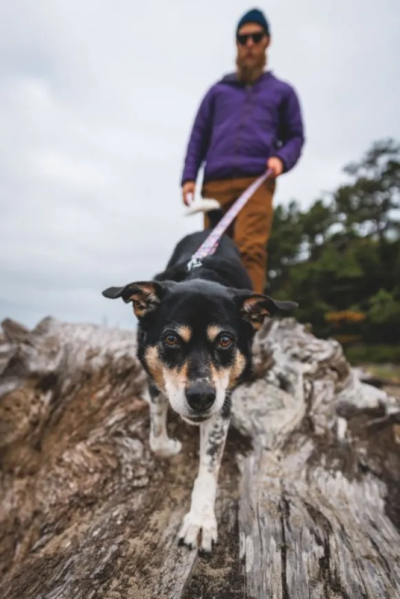 RuffWear Front Range Leash koiran talutushihna, Reef Fish