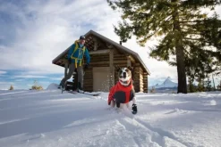 RuffWear Furness Jacket koiran talvitakki, Red Sumac