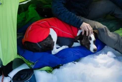 RuffWear Furness Jacket koiran talvitakki, Red Sumac