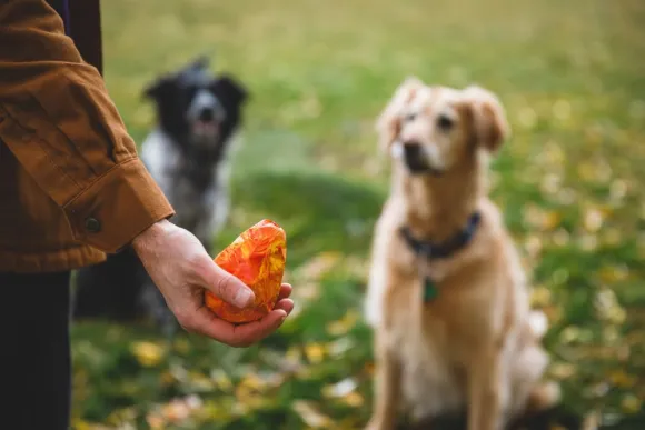RuffWear Gnawt-a-Cone Toy Salamander Orange