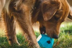 RuffWear Gnawt-a-Rock Toy Glacial Blue