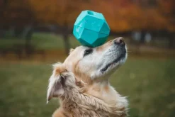 RuffWear Gnawt-a-Rock Toy Glacial Blue