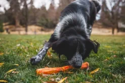 RuffWear Gnawt-a-Stick Toy Purple Orchid