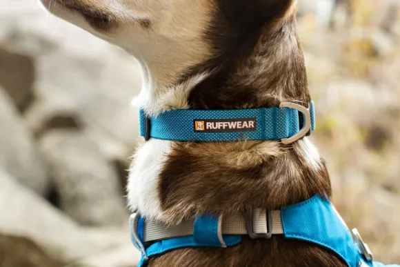 Ruffwear Hi & Light Collar kaulapanta, pinkki