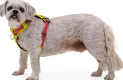 Ruffwear Hi & Light Harness valjaat, pinkki