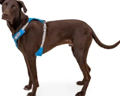 Ruffwear Hi & Light Harness valjaat, harmaa