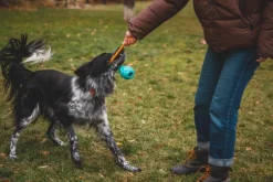 RuffWear Huck-a-Cone Toy Glacial Blue