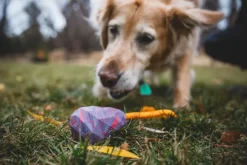 RuffWear Huck-a-Cone Toy Purple Orchid