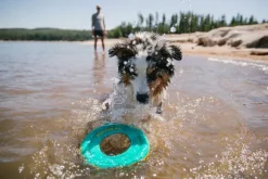 RuffWear Hydro Plane Toy Purple Orchid