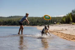 RuffWear Hydro Plane Toy Purple Orchid