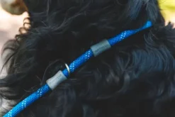 RuffWear Just-a-Cinch Leash koiran talutushihna, Blue Pool