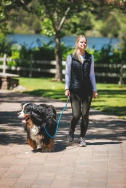 RuffWear Just-a-Cinch Leash koiran talutushihna, Obsidian Black