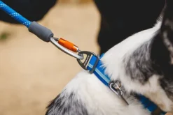 RuffWear Knot-a-Leash koiran talutushihna, Blue Pool