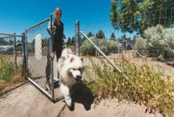 RuffWear Knot-a-Long Leash koiran talutushihna, Obsidian Black