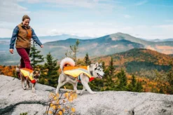 RuffWear Lumenglow Hi-Viz Jacket huomiotakki, oranssi/keltainen