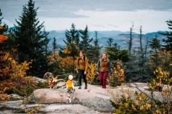 RuffWear Lumenglow Hi-Viz Jacket huomiotakki, oranssi/keltainen