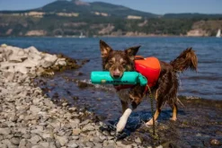 RuffWear Lunker Toy Biolumin Blue