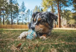 RuffWear Morel koiran lelu, Moss Green