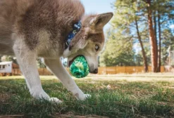 RuffWear Morel koiran lelu, Gray Sky