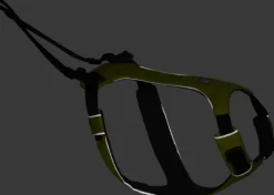 RuffWear Omnijore Joring System juoksupaketti, Lichen Green