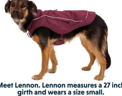 RuffWear Overcoat Fuse Jacket koiran takki, punavioletti