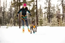 Ruffwear Polar Trex - set of 2 - Pairs Obsidian Black