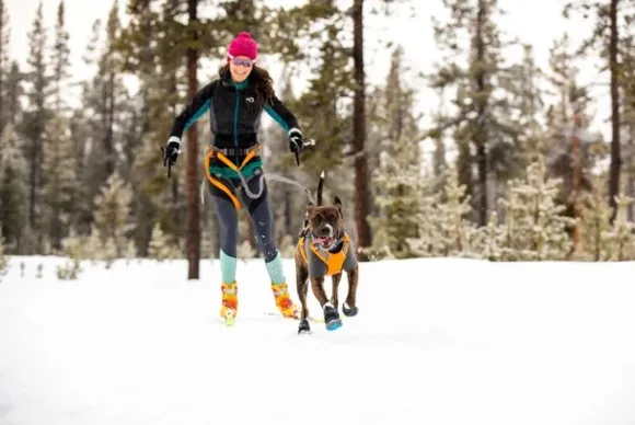 Ruffwear Polar Trex - set of 2 - Pairs Obsidian Black