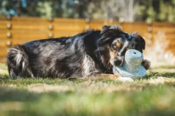 RuffWear Porchini koiran lelu, Moss Green