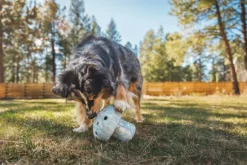 RuffWear Porchini koiran lelu, Blue Prism