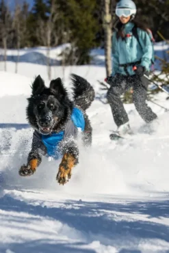 RuffWear Powder Hound Jacket koiran talvitakki, Blue Pool