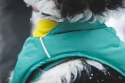RuffWear Quinzee Insulated Jacket koiran talvitakki, River Rock Green