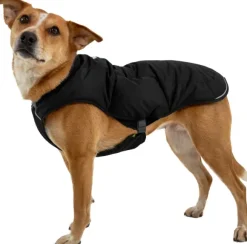 RuffWear Quinzee Insulated Jacket koiran talvitakki, Obsidian Black