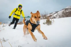 RuffWear Quinzee Insulated Jacket koiran talvitakki, Obsidian Black