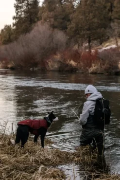 RuffWear Quinzee Jacket koiran takki, oranssi