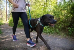 Ruffwear Roamer Leash Granite Gray