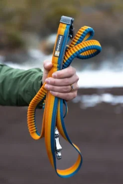 Ruffwear Roamer Leash joustava talutushihna, Yellow Snow