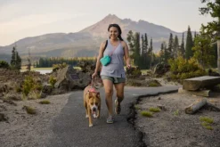 RuffWear Stash Bag Plus tarvikelaukku, mintunvihreä