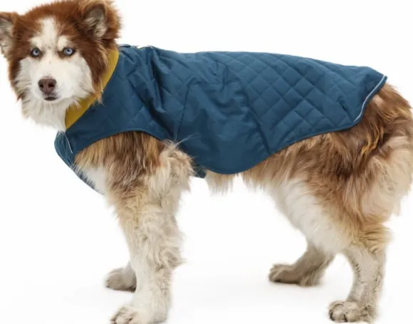 RuffWear Stumptown Jacket koiran takki, Orion Blue