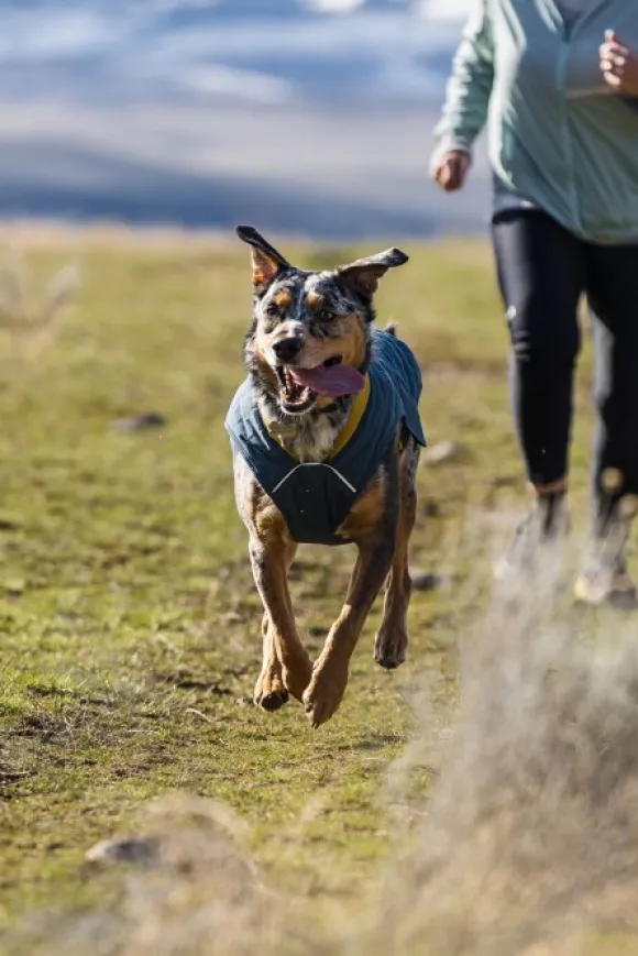 RuffWear Stumptown Jacket koiran takki, Orion Blue