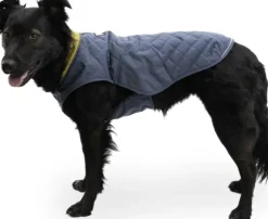 RuffWear Stumptown Jacket koiran takki, Orion Blue