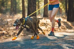 RuffWear Summit Trex Shoe Sunrise Yellow
