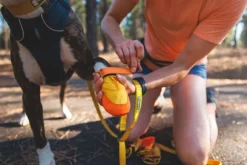 RuffWear Summit Trex Shoe Sunrise Yellow